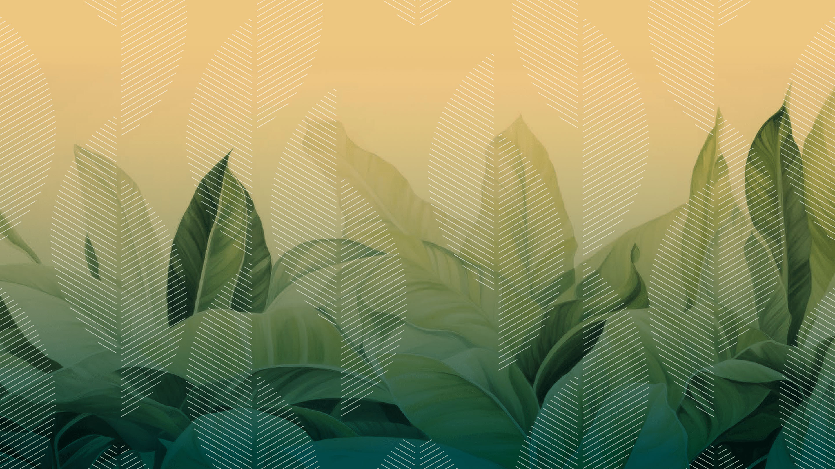 Leaves BG